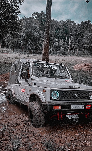 的无畏精神 的无畏精神