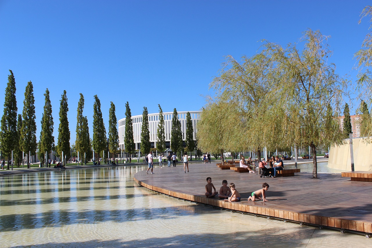 但早已错过 但早已错过