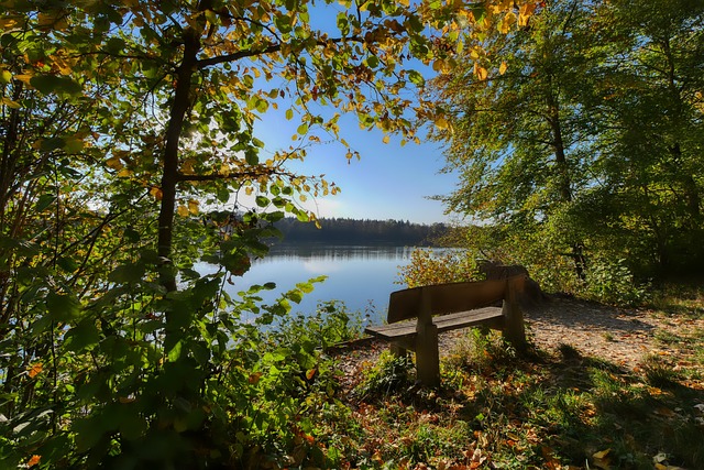 中表现出色 中表现出色