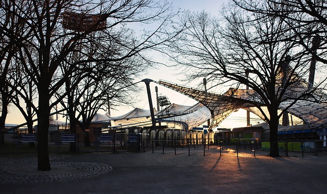 间的明星 间的明星